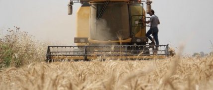 Çiftçiler buğday maliyetini hesaplayıp fiyat beklentisini açıkladı