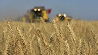 Çiftçiler, hububat alım fiyatlarını değerlendirdi