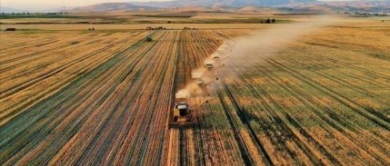 Çiftçilere 1,1 milyar liralık tarımsal destek ödemesi yapılacak