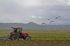 Çiftçilere 2,5 milyar lira tarımsal destek ödemesi yapılacak