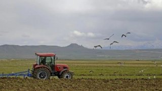 Çiftçilere 2,5 milyar lira tarımsal destek ödemesi yapılacak