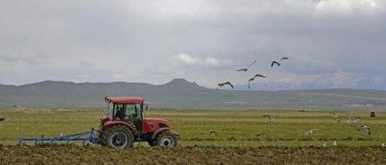 Çiftçilere 2,5 milyar lira tarımsal destek ödemesi yapılacak