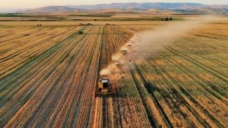Çiftçilere 3 milyar TL'lik destek ödemesi yapılacak
