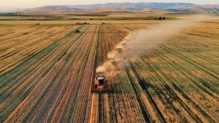 Çiftçilere 5,1 milyar TL'lik destek ödemesi yapılacak
