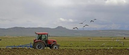 Çiftçilere yaklaşık 827 milyon TL'lik destek ödemesi yapılacak