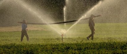 Çiftçinin enflasyonu yıllık %40,11 arttı