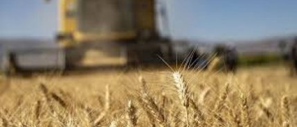 Çiftçinin girdi enflasyonu kasımda yüzde 38,82 oldu