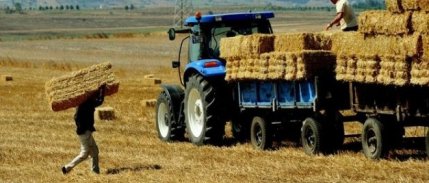 Çiftçinin tarımsal girdi enflasyonu yıllık bazda %69,99 arttı