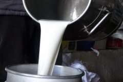 Çiğ süt fiyatlarına yeni düzenleme geldi