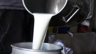 Çiğ süt fiyatlarına yeni düzenleme geldi