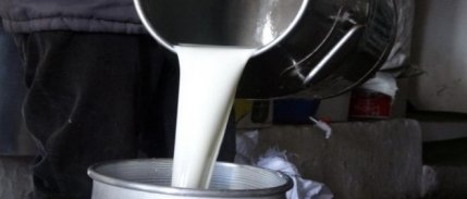 Çiğ süt fiyatlarına yeni düzenleme geldi