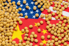 Çin'den ABD'ye soya fasulyesi taahhüdü