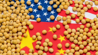 Çin'den ABD'ye soya fasulyesi taahhüdü