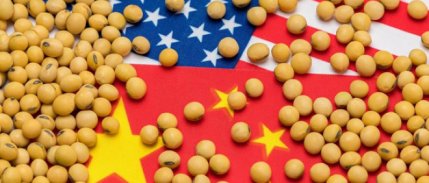 Çin'den ABD'ye soya fasulyesi taahhüdü