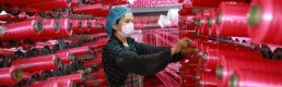 Çin ekonomisi 2020'de yüzde 2,3 büyüdü