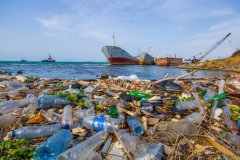 Deniz kirliliği sigortasında teminat tutarları artırıldı