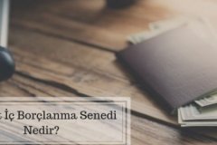 Devlet İç Borçlanma Senedi (DİBS) Nedir?