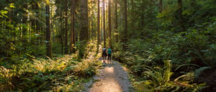 Doğa tutkunları için 6 alternatif rota önerisi