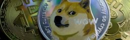 Dogecoin, Bitcoin rekor seviyeye ulaştıktan sonra yükselmeye devam ediyor