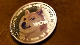 Dogecoin'in simgesi Kabosu hayatını kaybetti