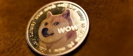 Dogecoin'in simgesi Kabosu hayatını kaybetti