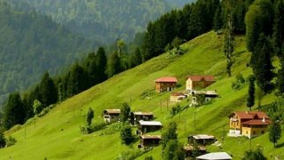 Doğu Karadeniz'de Üretilen Çayın Tüketildiği Ülke Sayısı 110'a Ulaştı