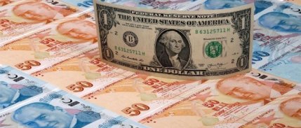 Dolar, son 2 saatte 20 kuruş düştü