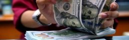 Dolar/TL'de ılımlı yükselişle gelen yeni zirve