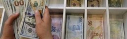 Dolarizasyonda iki ayın en sert yükselişi