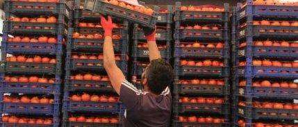 Dünyada gerileyen gıda fiyatları Türkiye’de artışını sürdürdü