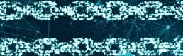 Dünyada İlk Kez Blockchain Teknolojisiyle Gıda Ticareti Yapıldı