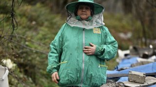 Düzceli kadın girişimci 10 kovanla başladığı arıcılıkta 300 kovana ulaştı