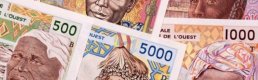 ECOWAS ortak para birimi 'eko' için süreci hızlandırdı