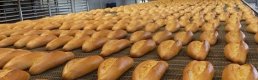 Ekmek Üreticileri Başkanı Kavuncu: Türkiye'de Günde 12 Milyon Ekmek İsrafı Var