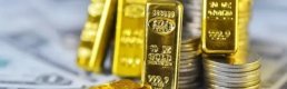 Ekonomistler hesapladı: Rezervlerde altın destekli yükseliş yaşandı