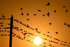 Elektrikte ulusal tarifenin süresi 2030’a uzatıldı