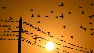 Elektrikte ulusal tarifenin süresi 2030’a uzatıldı