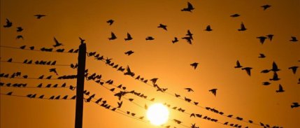 Elektrikte ulusal tarifenin süresi 2030’a uzatıldı