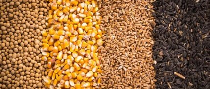 Emtia piyasalarında geçen hafta dalgalı bir seyir izlendi