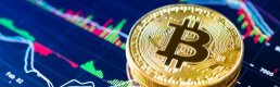 En büyük 100’den 80’i düştü, Bitcoin 5,600 doları aştı