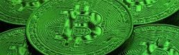 En Büyüklerden Sadece Bitcoin Cash Arttı