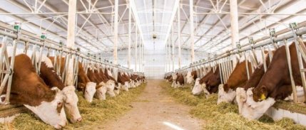 ETBİR: Depremzedelerin hayvanlarına başka illerde bakabiliriz