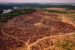 FAO'dan ormansızlaşma uyarısı: Ormanlar hala baskı altında