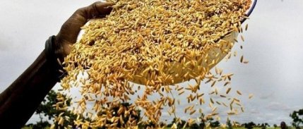Fao Gıda Fiyat Endeksi Haziran’da Geriledi