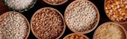 FAO Gıda Fiyat Endeksi İkinci Ayda da Yükseldi   