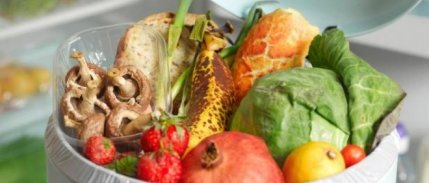 Fao: 'Gıda İsrafı Ambalajlama Teknolojisiyle Azaltılacak'