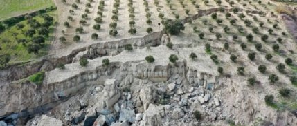 FAO: Kırsal kesimde yaşanlara yönelik, 25 milyon dolara ihtiyaç var