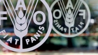 FAO: Küresel gıda fiyatları 2023'te geriledi