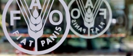 FAO: Küresel gıda fiyatları eylülde önemli bir değişiklik göstermedi