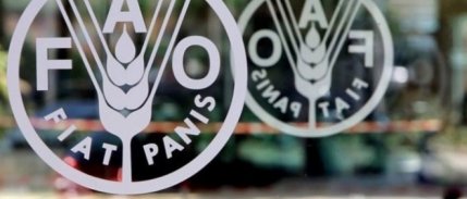 FAO: Küresel gıda fiyatları kasımda değişmedi